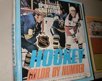 Vintage Venus Paradise Sportfolio Collection NHL Hockey Color By Number