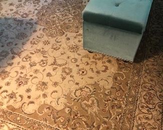 Area Rug 