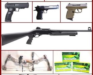 April Firearms, Sporting Coins