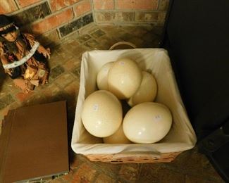 ostrich eggs