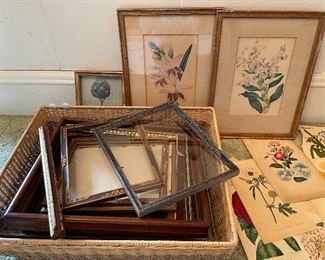 Vintage frames & botanical prints 