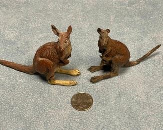 Kangaroos