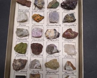 specimen from the desert