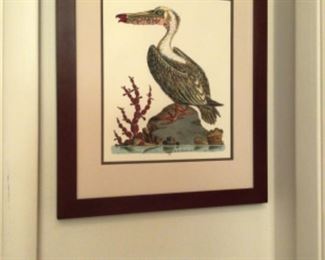 Hand colored antique Pelican engraving Geo. Edwards