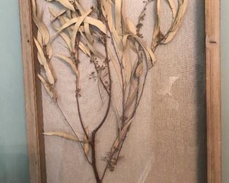 Pair Dried botanicals framed in shadow box