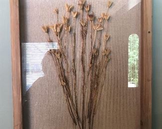 Pair Dried botanicals framed in shadow box