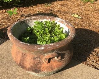 S O L D  - Terra Cotta pot - already planted