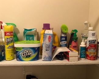 Cleaning supplies $1 ea.