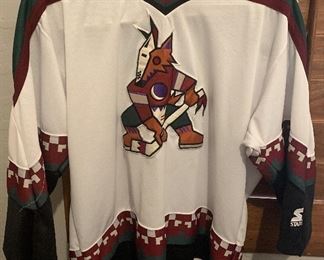 Coyotes Jersey