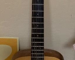 Luna Guitar