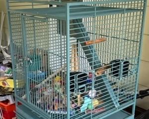 Bird cage with accessories.