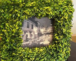 Preserved Boxwood Pictures 