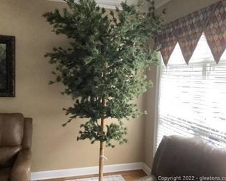 Unique Umbrella Tree