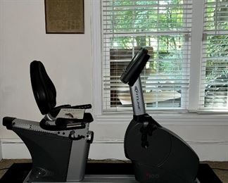 Fitline Recumbent bike