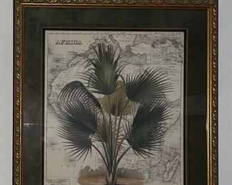 Palm lithograph