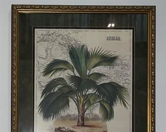 Palm lithograph