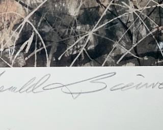 Artist's signature