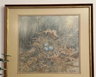 Bird's nest lithograph