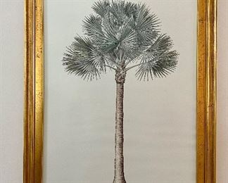 Palm lithograph