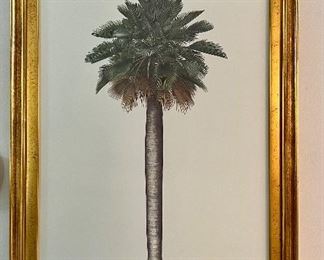 Palm lithograph