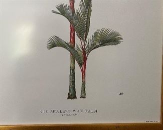 Lithograph title