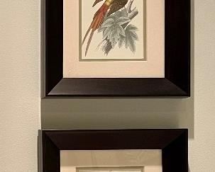 Bird lithographs