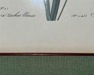 Detail on lithograph