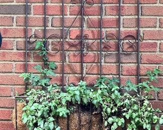 Wall iron planter
