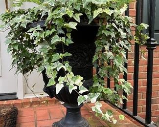 Wrought iron pedestal planter with ivy (pair)