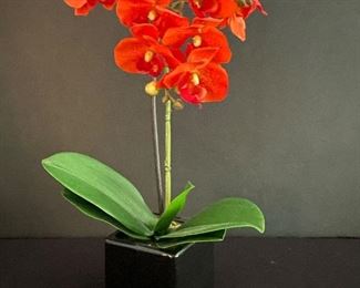 Decorative orchid