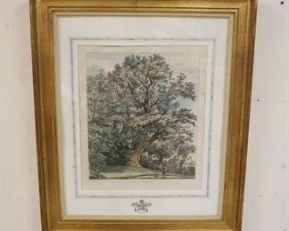 1226 FRAMED & MATTED ETCHING *THE CHIPSTEAD ELM*, J G STRUH, APPROXIMATELY 22 IN X 26 1/2 IN
