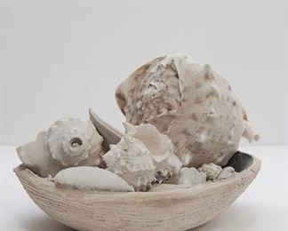 Bowl of Pretty Seashells