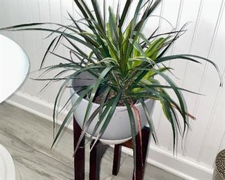 Potted plant, wood plant stand