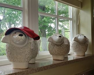 Cardinal's fan club!