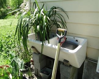 Sink, Plants