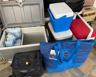Coolers and cooler bags
