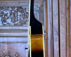 Cort Yorktown Hollow Body Guitar w/ Soft Case	42x17x5in	HxWxD
