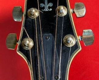 Cort Yorktown Hollow Body Guitar w/ Soft Case	42x17x5in	HxWxD
