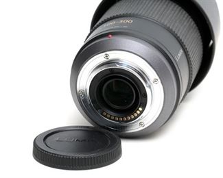 Panasonic LUMIX G Vario 100-300mm 1:4.0-5.6 Mega O.I.S. Zoom lens H-FS100300	6in Long	
