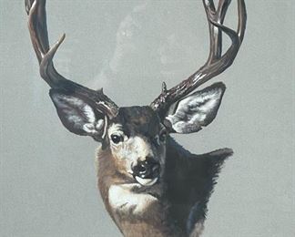Original Art AJ Jeanie McCoy Deer Painting Frame: 27x23.25in