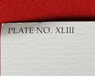 Signed Donald Vann American Indian National Exposition of Arts & Education Asheville North Carolina Litho Print Poster Poster: 29x23in