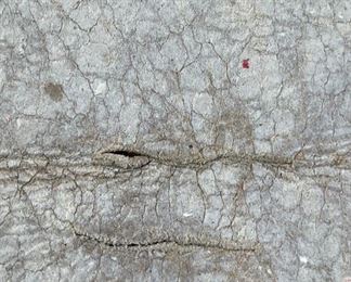 Original WWII US Army Air Corps Arizona Luke Field Leather Fighter Training Jacket Patch 4 7/8in Diameter