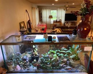 Terrarium and plants on stand with doors.  $100