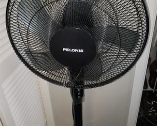 Fan
