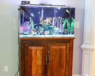 Fishtank with fish and accessories included