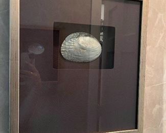 sea shell art