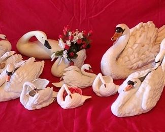 Collection of Swans