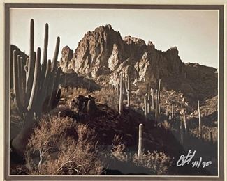 Superstition Mountains Signed Art Photo Don Schimmel Photography Frame: 14.5 x 17.5in HxWxD