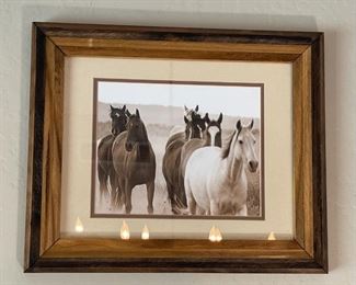 Wild Horses Signed Art Photo Don Schimmel Photography Frame: 14.5 x 17.5in
