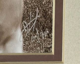 Wild Horses Signed Art Photo Don Schimmel Photography Frame: 14.5 x 17.5in